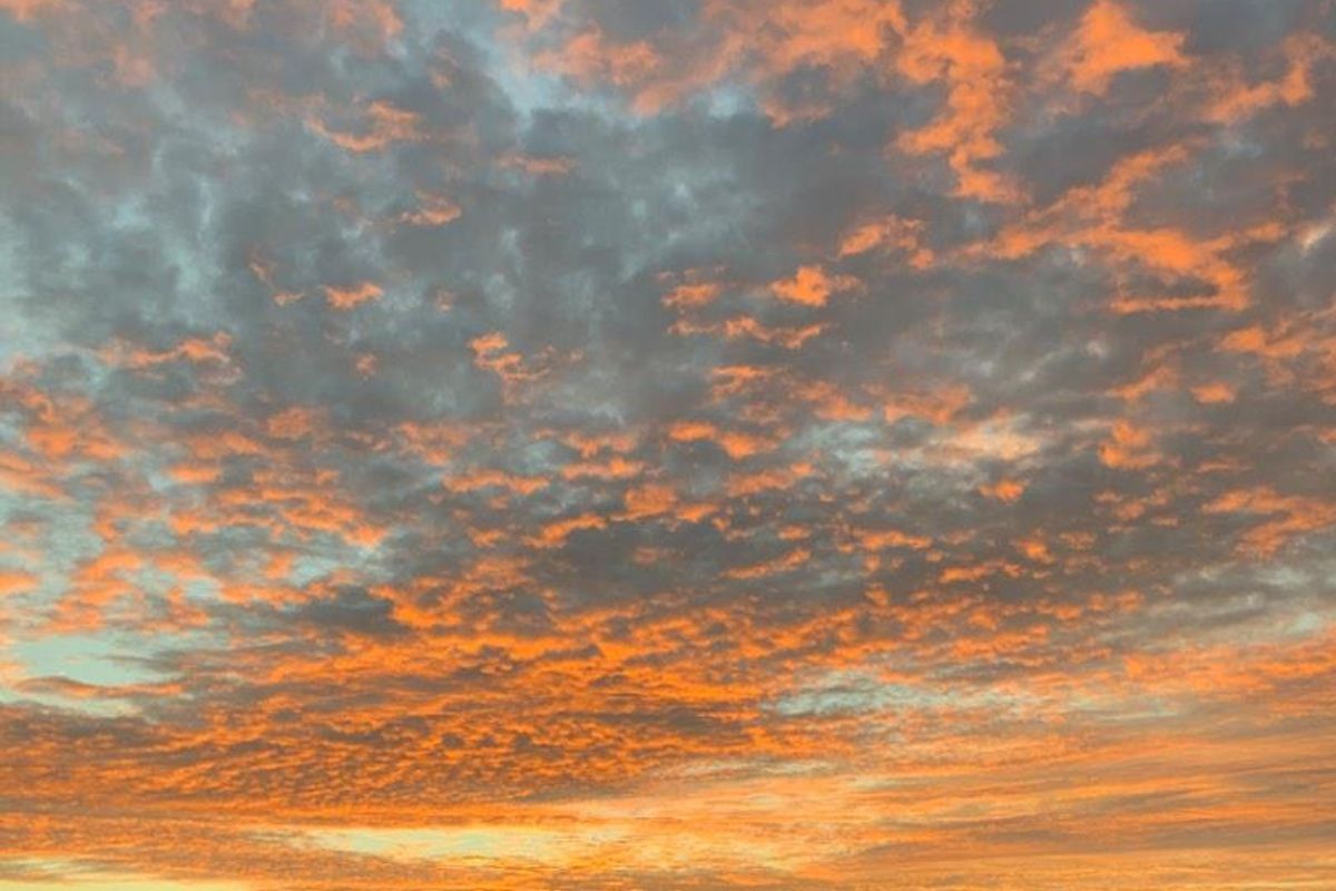 Double up with two homes on one property! - Photo 2