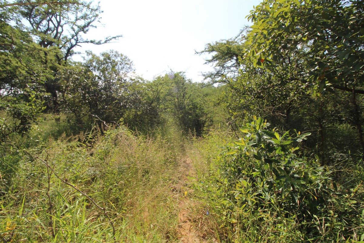 A view of the undeveloped residential land featuring dense indigenous vegetation and natural terrain.