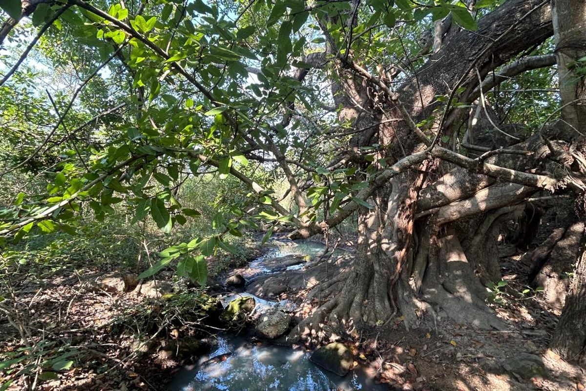 21 ha Mixed-Production Farm with Strong Water Availability - Photo 4