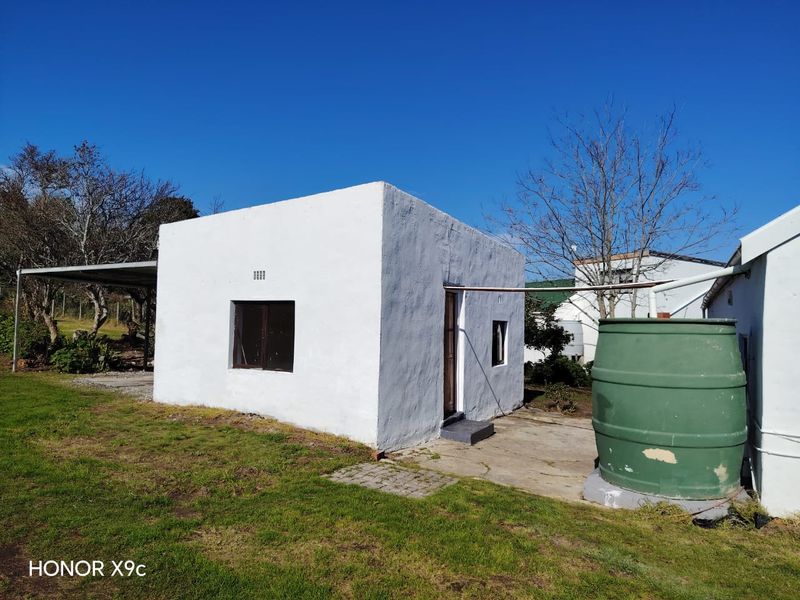 A detached outbuilding featuring a white rendered exterior, concrete patio area, and an attached water tank in a garden setting.