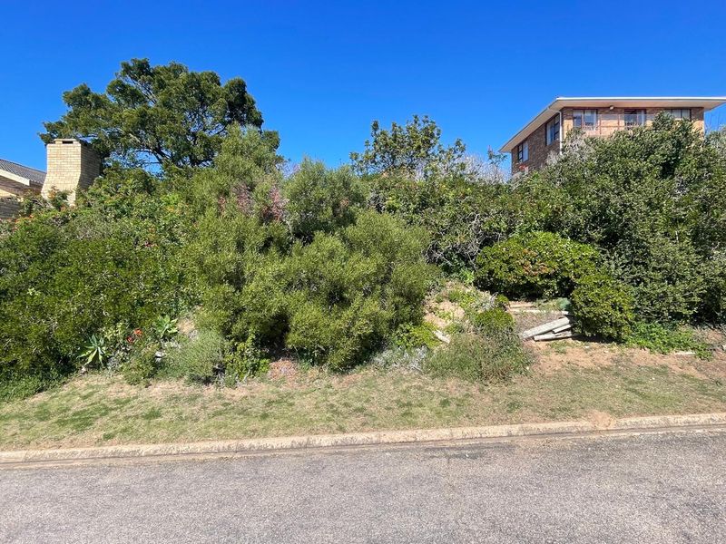 A sloped residential vacant land plot featuring established trees and shrubs, viewed from the street level.