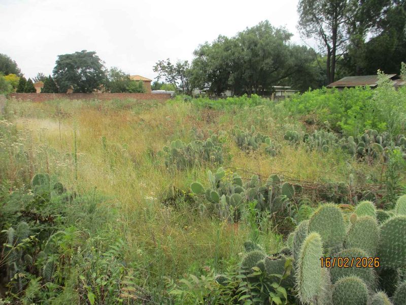 Enjoy the tranquility of Henley - Photo 8