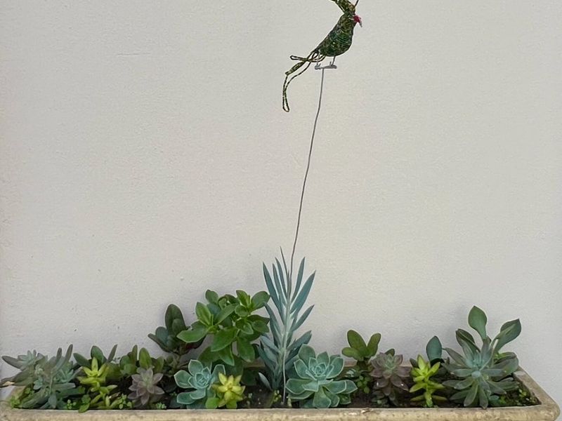 SONSKYN @ Pniel - Photo 8