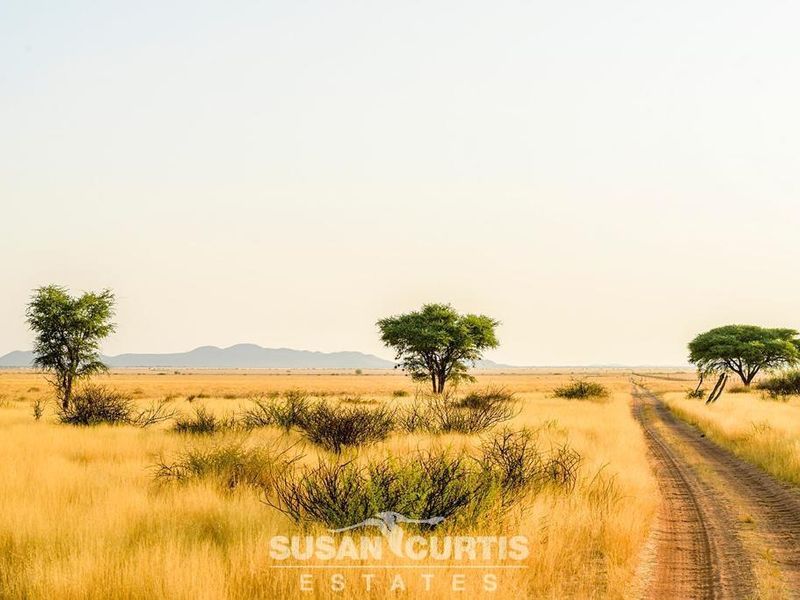 AGRICULTURAL AND GAME FARM - Photo 10