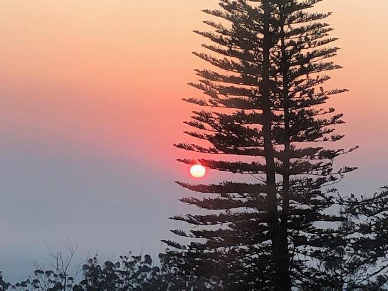 Commercial Property Ubombo - Photo 8