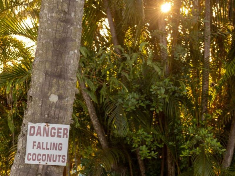 2-bedroom Apartment in ST LUCIA - Photo 7