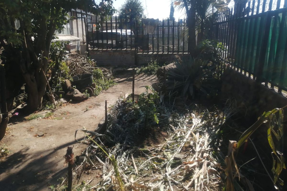 PERFECT OPPORTUNITY FOR INVESTORS! - Photo 3