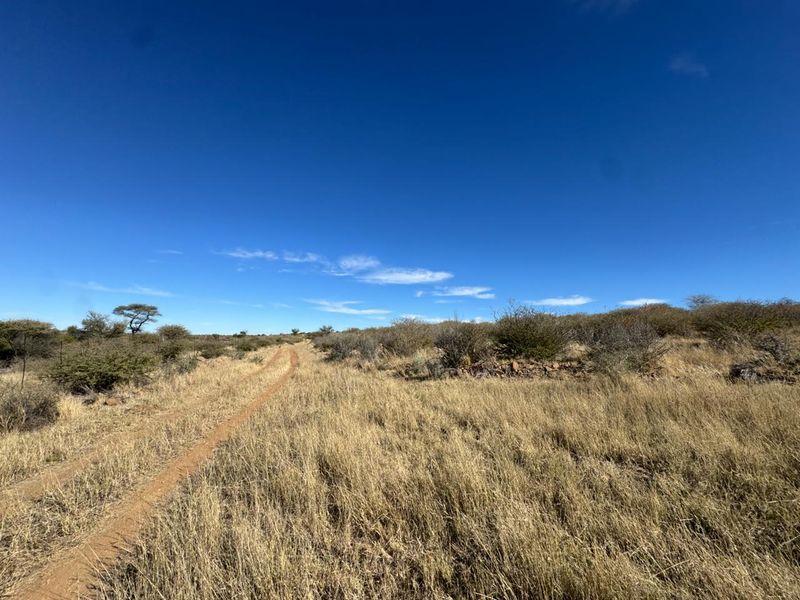 An expansive view of the small holding landscape featuring natural dry grassland, indigenous shrubs, and a dirt access track under a clear blue sky.