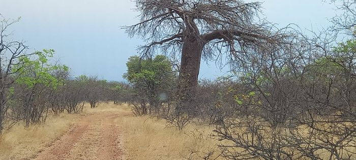 Property #2177145, Vacant Land Residential Pending Sale in Musina Central