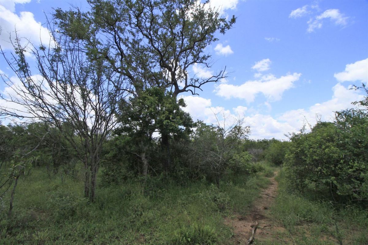 Vacant Land in MODITLO NATURE RESERVE - Photo 4