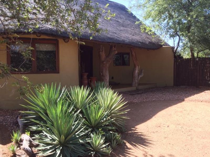 You’ve arrived to the peace and tranquility of the African bush! - Photo 2