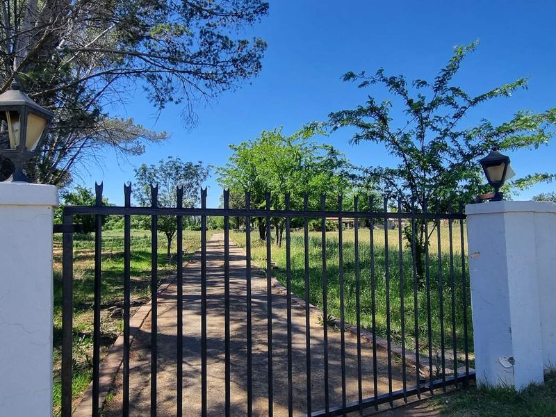 Front entrance featuring a metal security gate, masonry pillars with mounted lighting, and a concrete driveway leading onto the property.