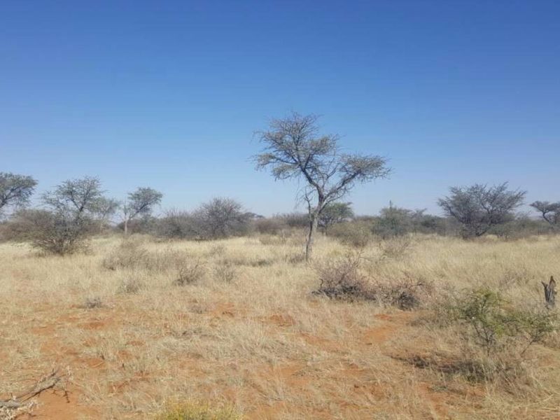 Smallholding South of Windhoek - Photo 5