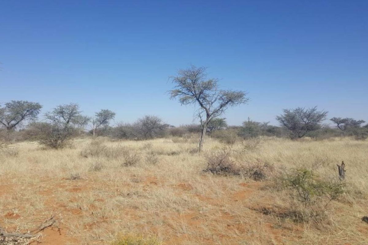 Smallholding South of Windhoek - Photo 5