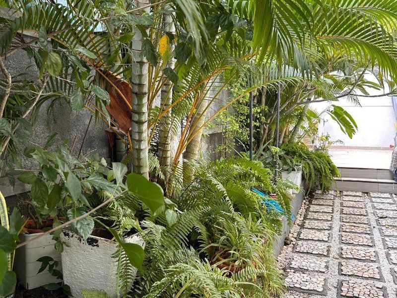 A lush garden pathway featuring stone-tiled paving, mature palm trees, and integrated planter beds along a stone boundary wall.