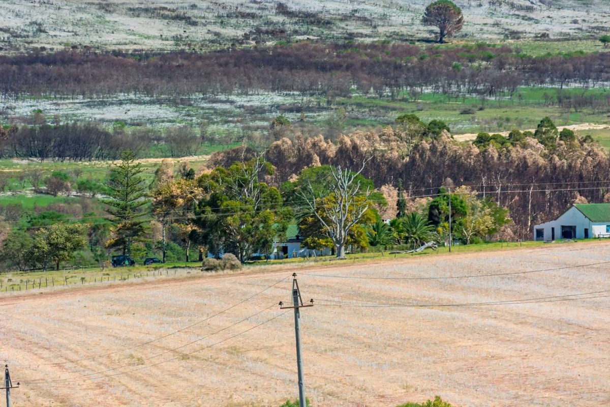 An elevated aerial view of the farm property, showcasing the surrounding landscape, fields, and the main farmhouse nestled among trees.