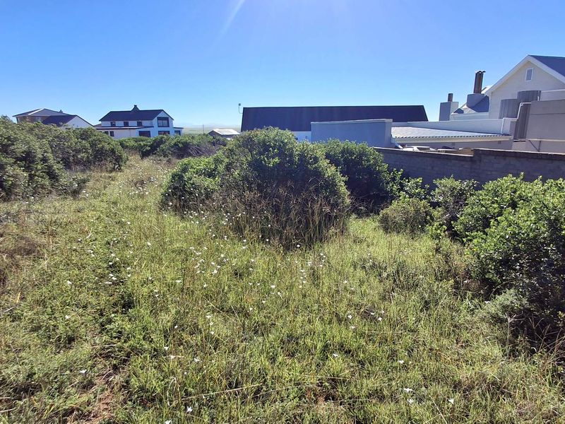 A view of a vacant residential plot featuring natural vegetation and a boundary wall, situated in a developed neighborhood.