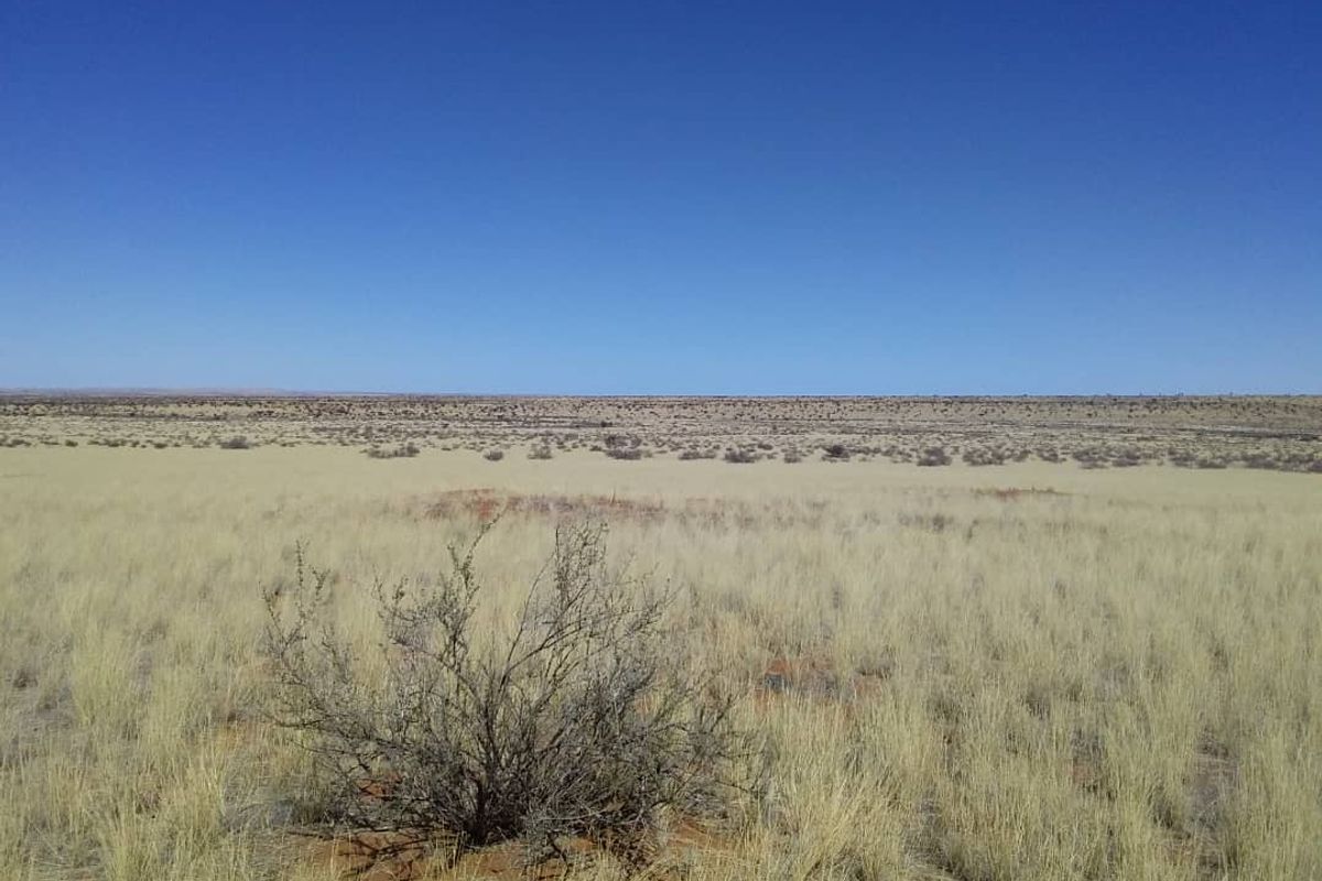 FOR SALE- FARM IN KARASBURG AREA, NAMIBIA - Photo 4