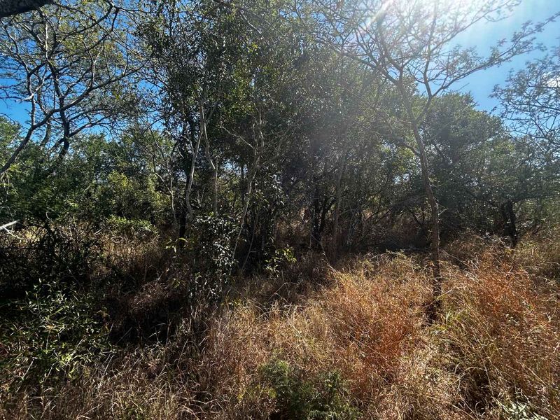 Prime vacant River Stand in Moditlo Nature Reserve - Photo 9