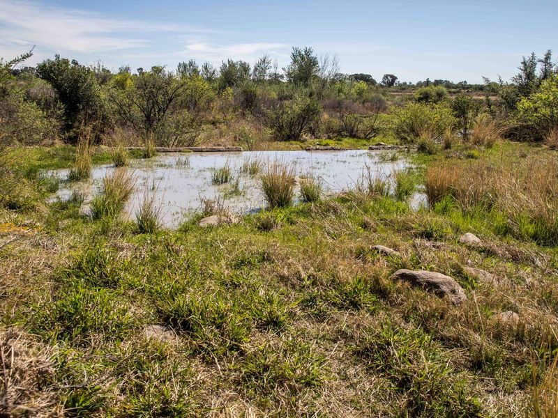 Vacant Land with Dam Views – Weltevrede Dam, Koppies - Photo 7