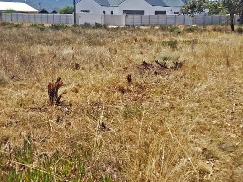 Sail into the sunset - Photo 8