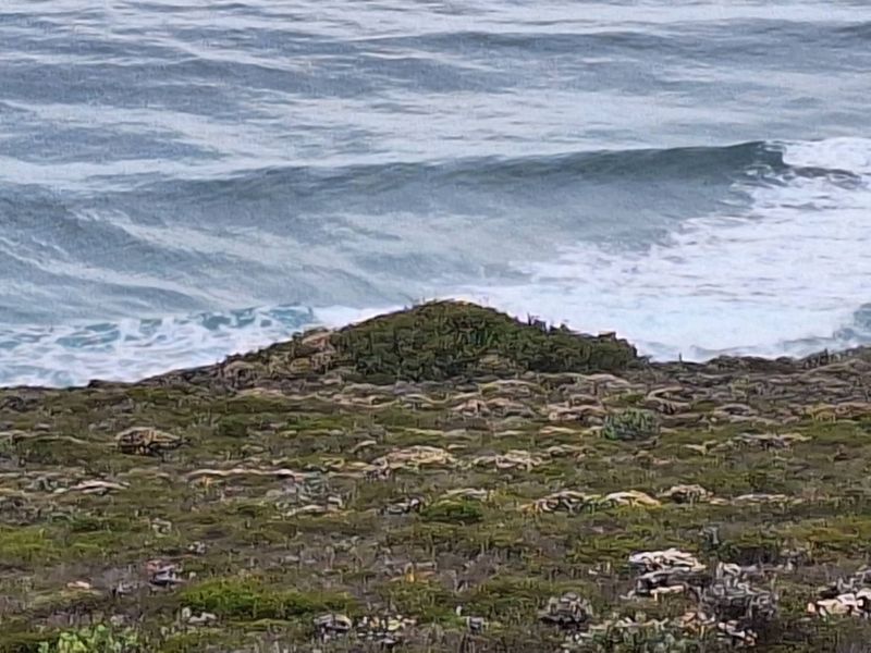 Stunning 3973m2 Vacant Land For Sale in Paradise Coast Eco Estate, Breaker Point - Photo 6