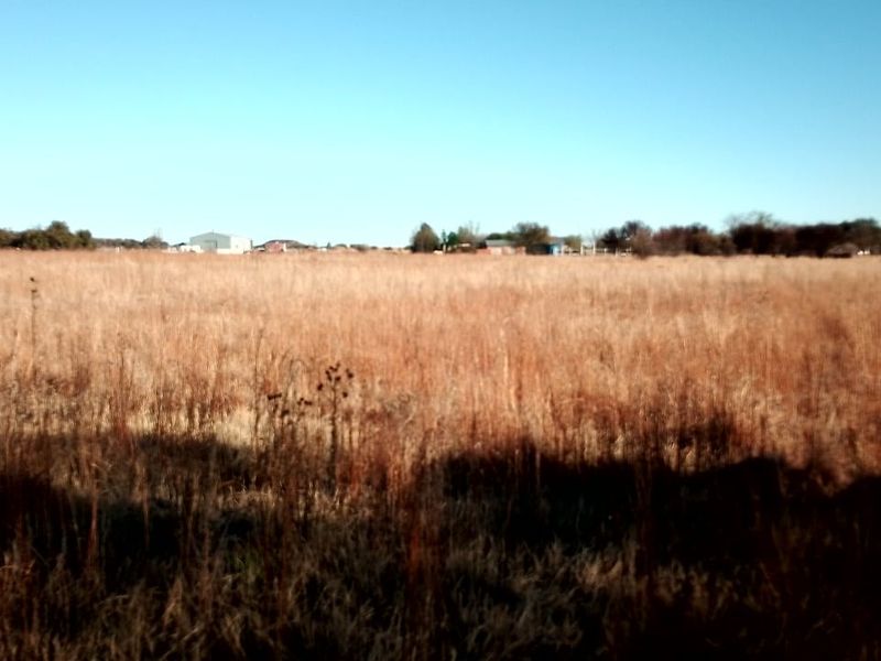 SMALL HOLDING.PROPARTY SURROUND BY 1.8METER GAME FENCE. - Photo 8