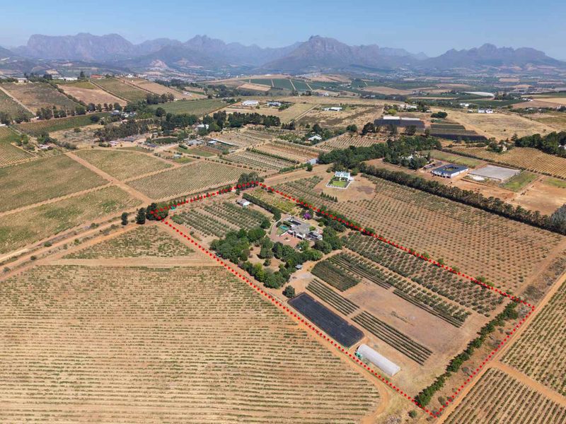 Life-style Olive Farm With Established Operations and Quality Infrastructure - Photo 4