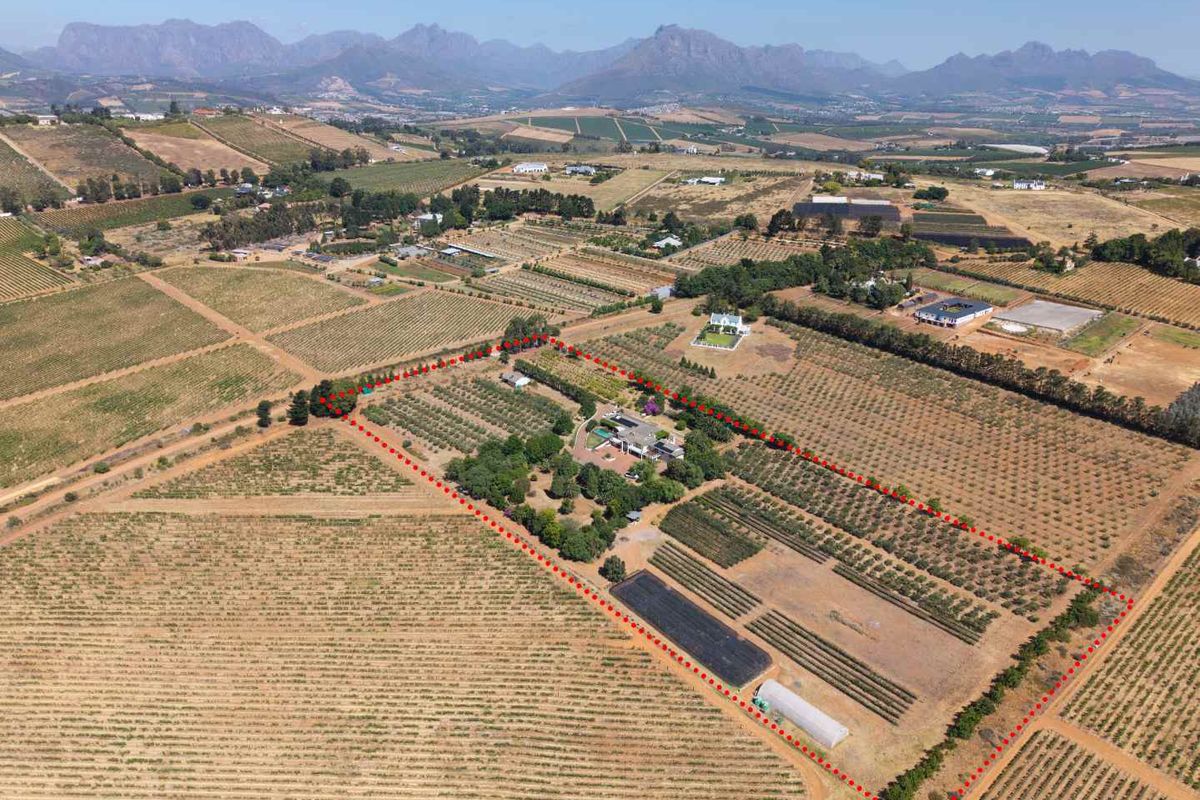 Life-style Olive Farm With Established Operations and Quality Infrastructure - Photo 4