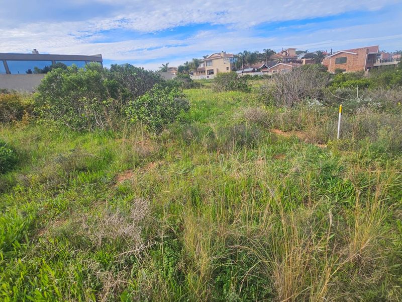 A view of a vacant residential plot featuring natural vegetation and surrounding neighborhood homes in the background.