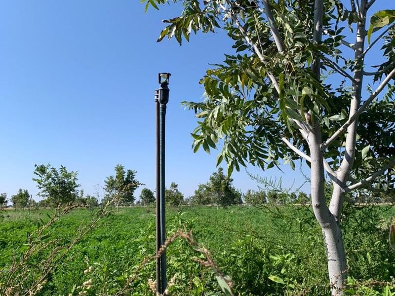 A view of the farm garden featuring an installed irrigation sprinkler system amidst the cultivated land and trees.