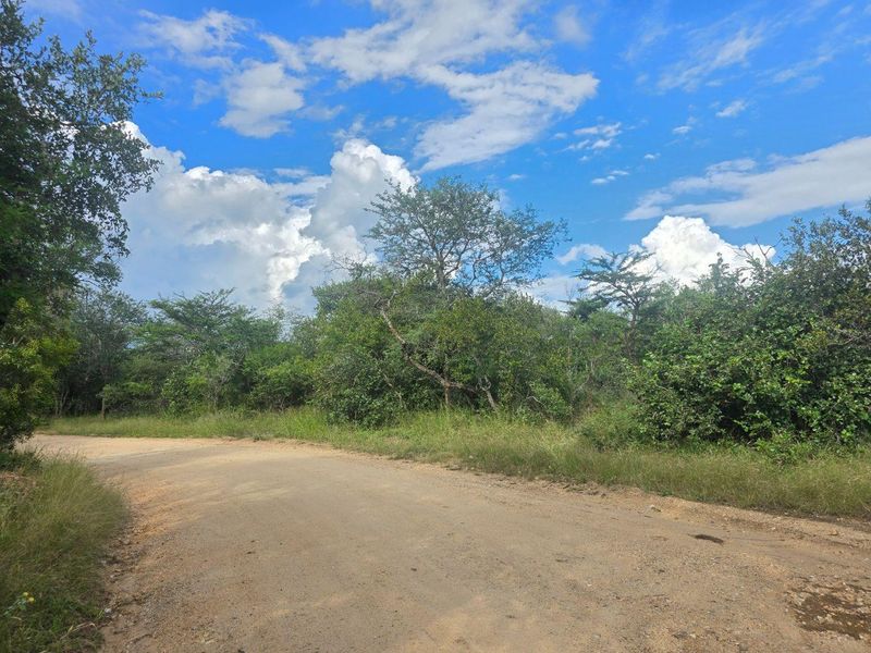 Rare & Private Riversdale Stand in Moditlo Wildlife Estate - Photo 7