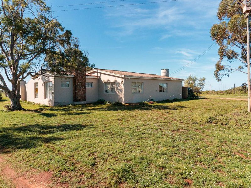 Fertile Soil & Endless Views – An Agricultural Dream Near Uitenhage. - Photo 10