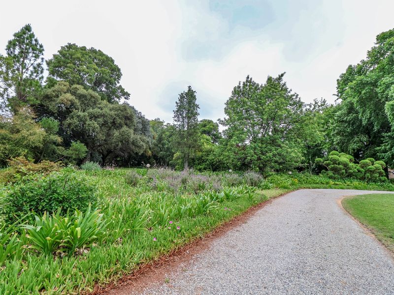 A well-maintained garden area featuring a gravel driveway winding through lush greenery and mature trees on the farm property.