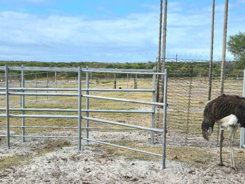 Kamba Farm – An Exceptional Opportunity in Franskraal, Western Cape - Photo 3