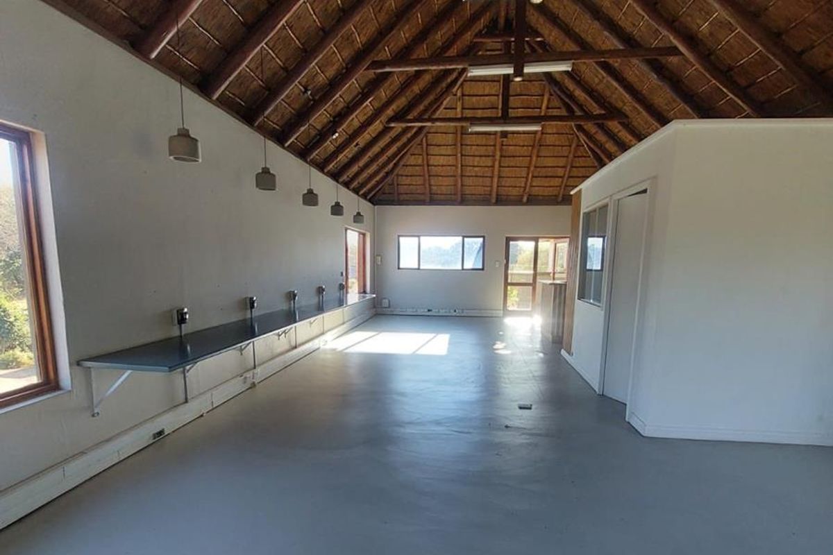 Spacious open-plan office area featuring a high vaulted thatched ceiling, exposed timber trusses, polished concrete flooring, and a long built-in workstation counter.