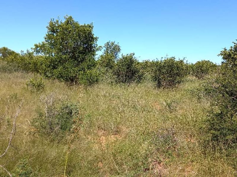 Plot for sale - Gobabis district - Photo 3