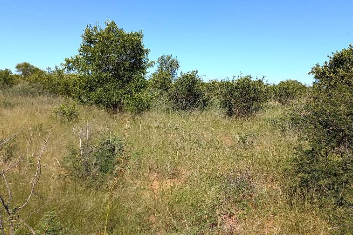Plot for sale - Gobabis district - Photo 3