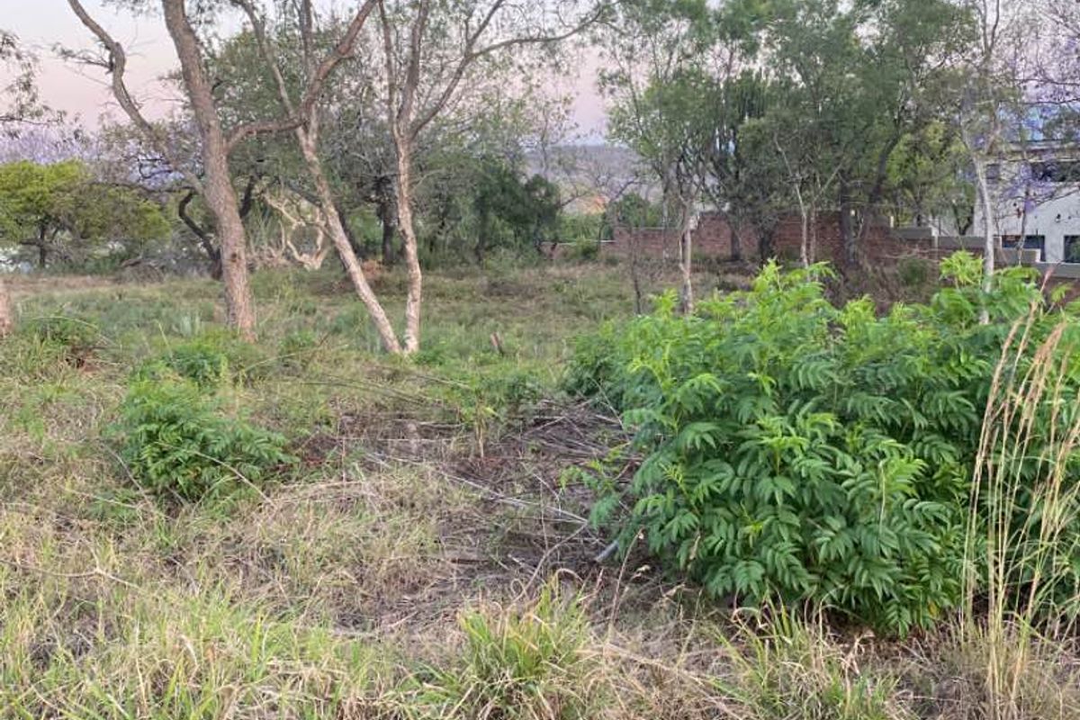 Glorious views! - Photo 2