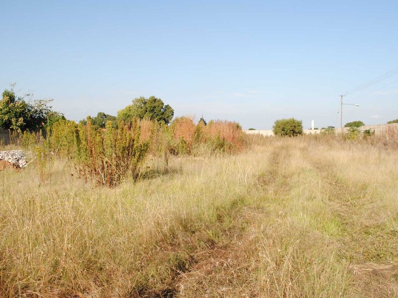 Fully walled this large, Spacious stand. Let your imagine go. - Photo 6