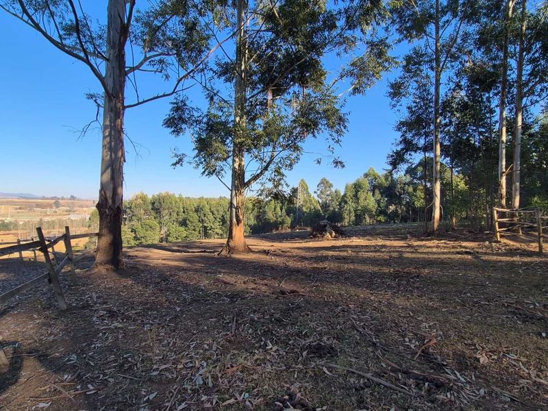 Rural Tranquility with Equestrian Charm at The Grange, Howick Rural - Photo 8