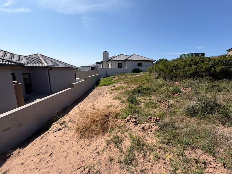 A view of the rear section of the residential plot, showing the boundary wall and adjacent property structures.