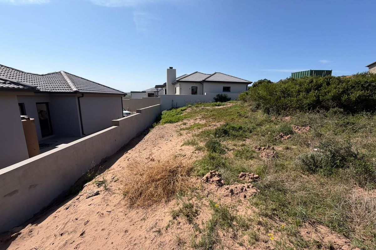A view of the rear section of the residential plot, showing the boundary wall and adjacent property structures.