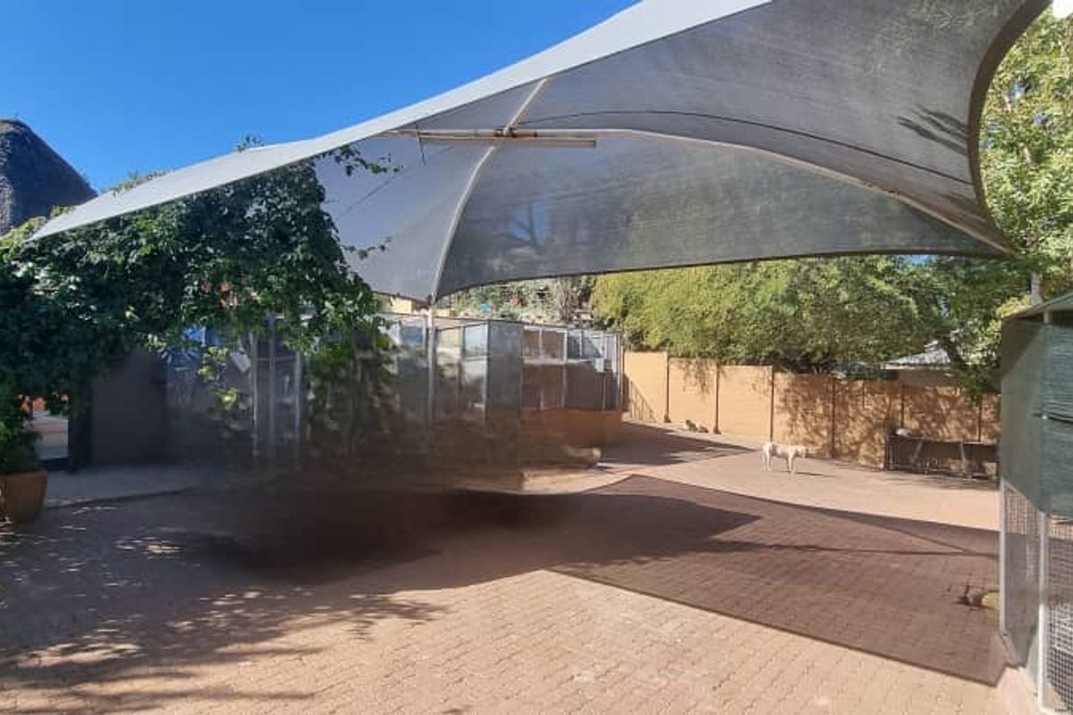 Rear outdoor area featuring a large shade sail, paved ground surface, and perimeter boundary walling.