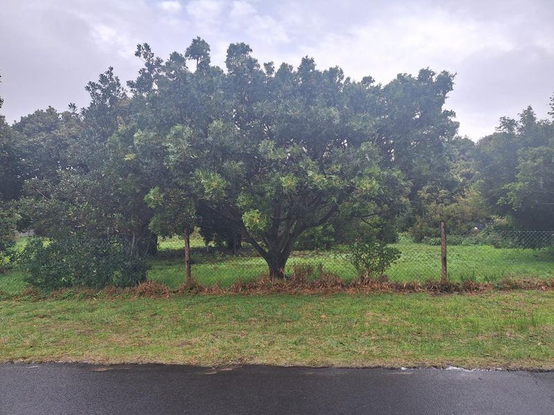 Spacious 2180m2 Plot with Mountain Views in the Mountain Avenues of Kleinmond. - Photo 4