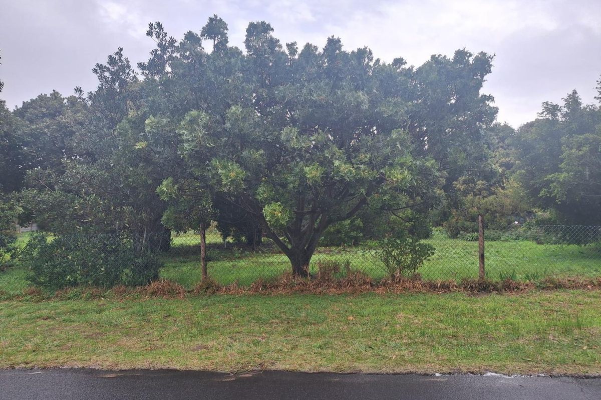 Spacious 2180m2 Plot with Mountain Views in the Mountain Avenues of Kleinmond. - Photo 4