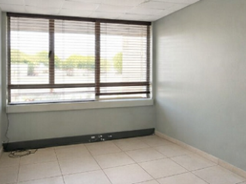 An empty office space featuring tiled flooring, a large window with venetian blinds, and a suspended ceiling, suitable for a professional workspace.