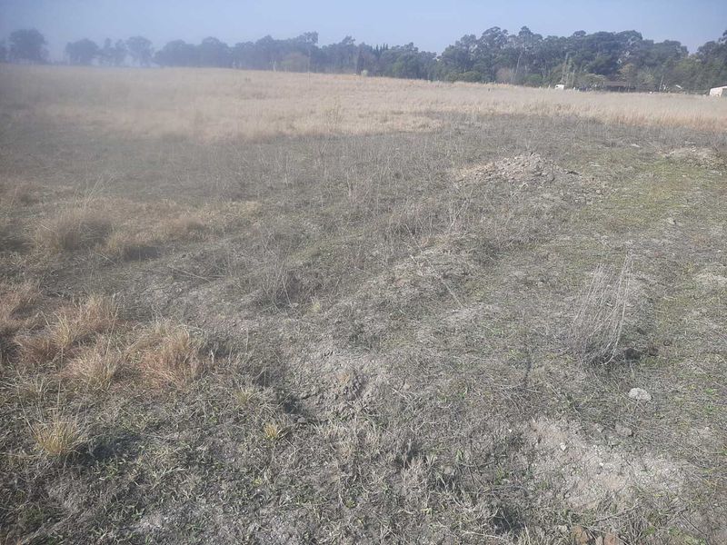 1Ha small holding for farm produce and a contry living - Photo 5