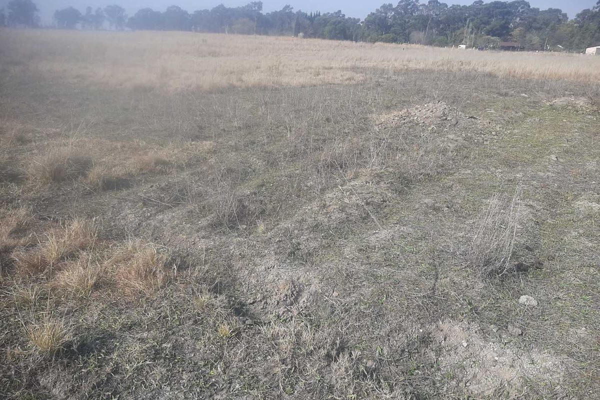 A view of the expansive, undeveloped open land on the small holding, featuring natural grass and a flat terrain.