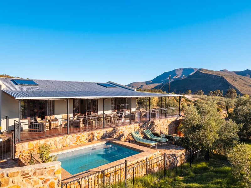 AN INVESTMENT IN PEACE, PURPOSE AND UNPARALLELED BEAUTY - ORGANIC OLIVE FARM FOR SALE - Photo 7